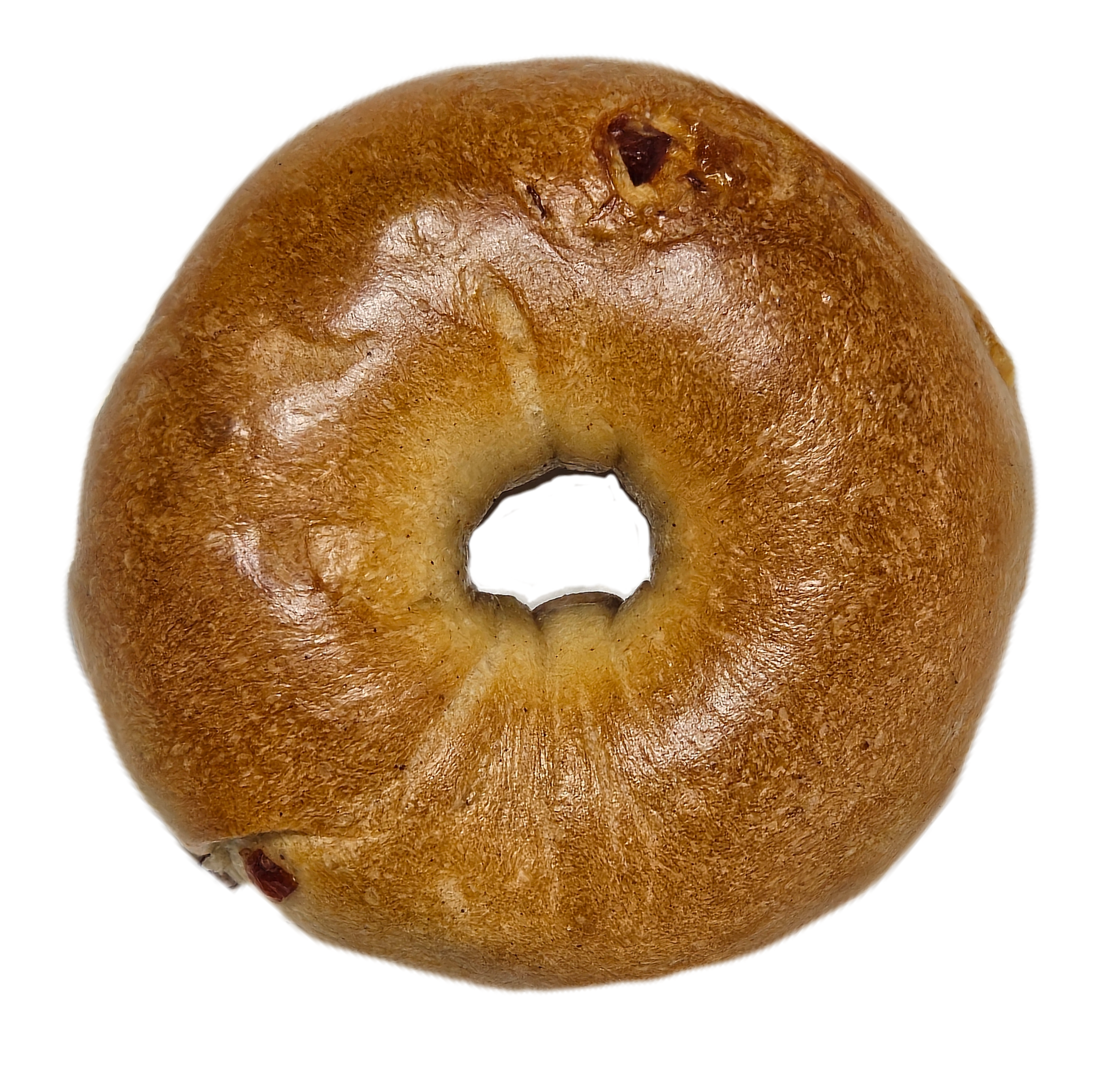 Cranberry Cinnamon Bagel